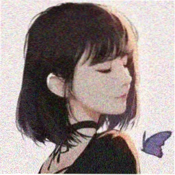 读者苏雨夜的头像